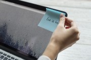 網(wǎng)站流量傳輸方式解析，揭秘高效穩(wěn)定的網(wǎng)絡(luò)世界