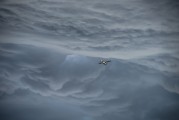 翱翔太空的戰(zhàn)爭游戲——星際爭霸，星際爭霸，浩瀚宇宙中的英勇對決