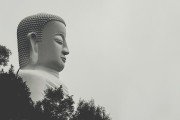 夢(mèng)中與母親爭(zhēng)吵的反思，夢(mèng)中與母親爭(zhēng)吵的深度反思