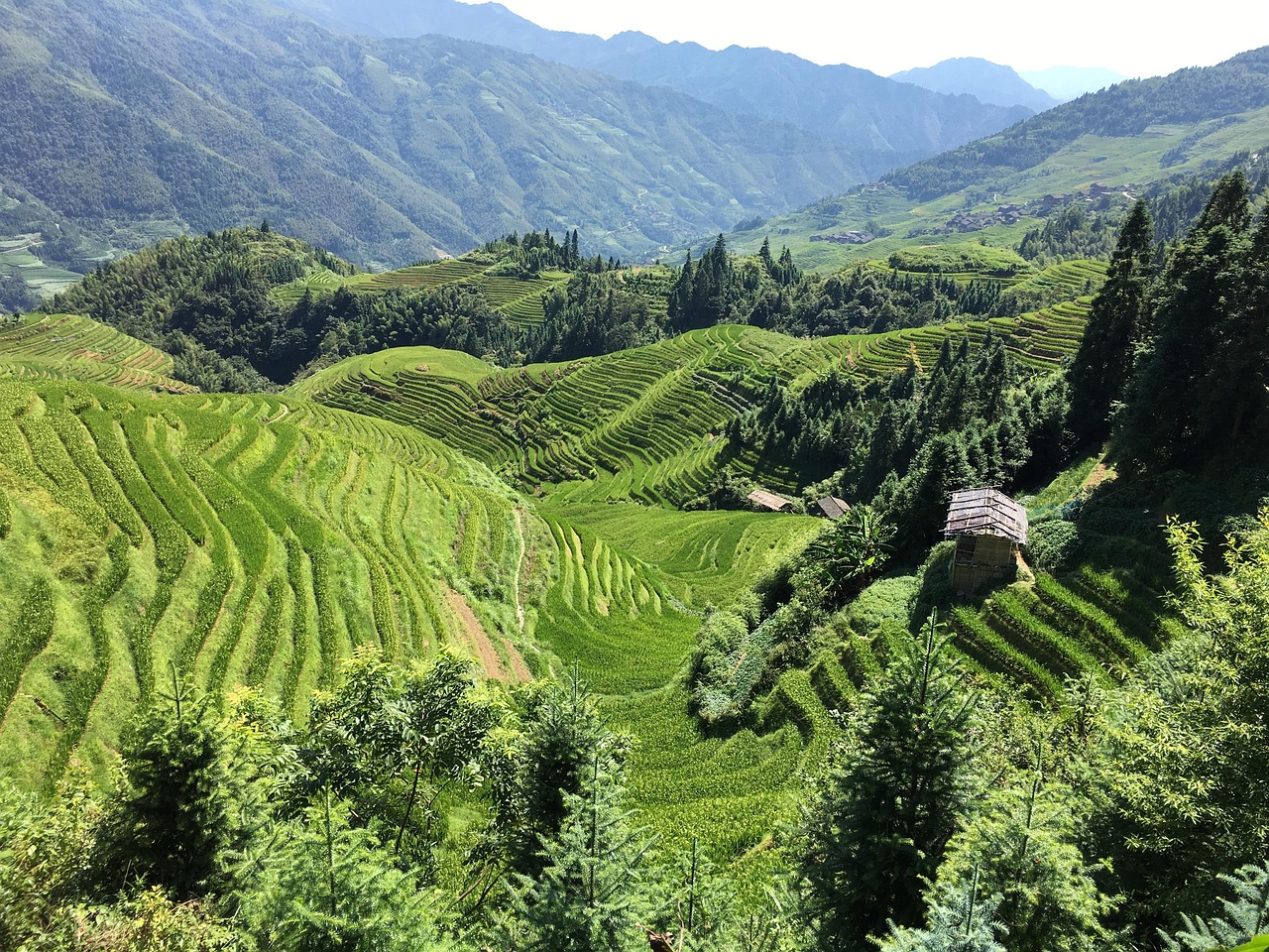 農(nóng)業(yè)新聞，綠色轉(zhuǎn)型下的中國(guó)農(nóng)業(yè)新篇章