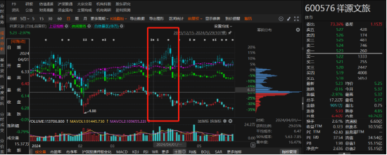 祥源文旅非經(jīng)營(yíng)性資金占用雖已歸還，但仍被出具警示函！
