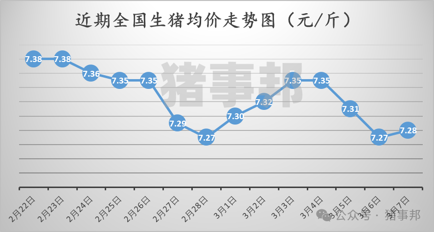 3月7日豬價匯總（北方稍強，南方稍弱?。?></p>
<p><p style=